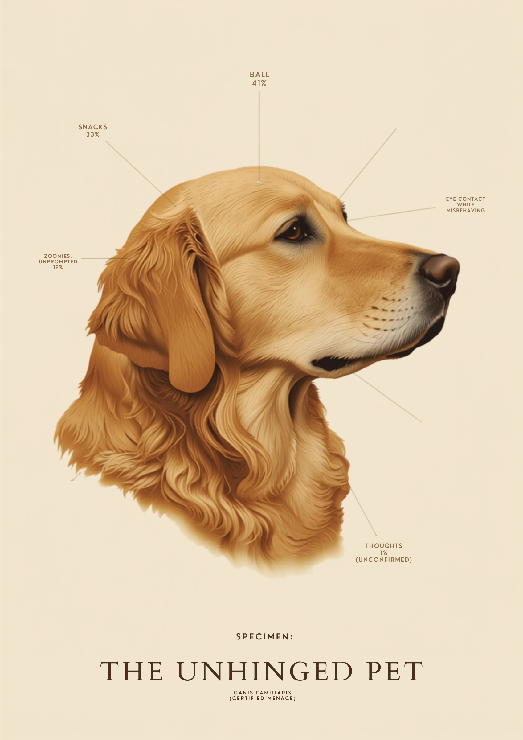 Fig. 1 — The Golden Retriever Brain anatomical chart mug design