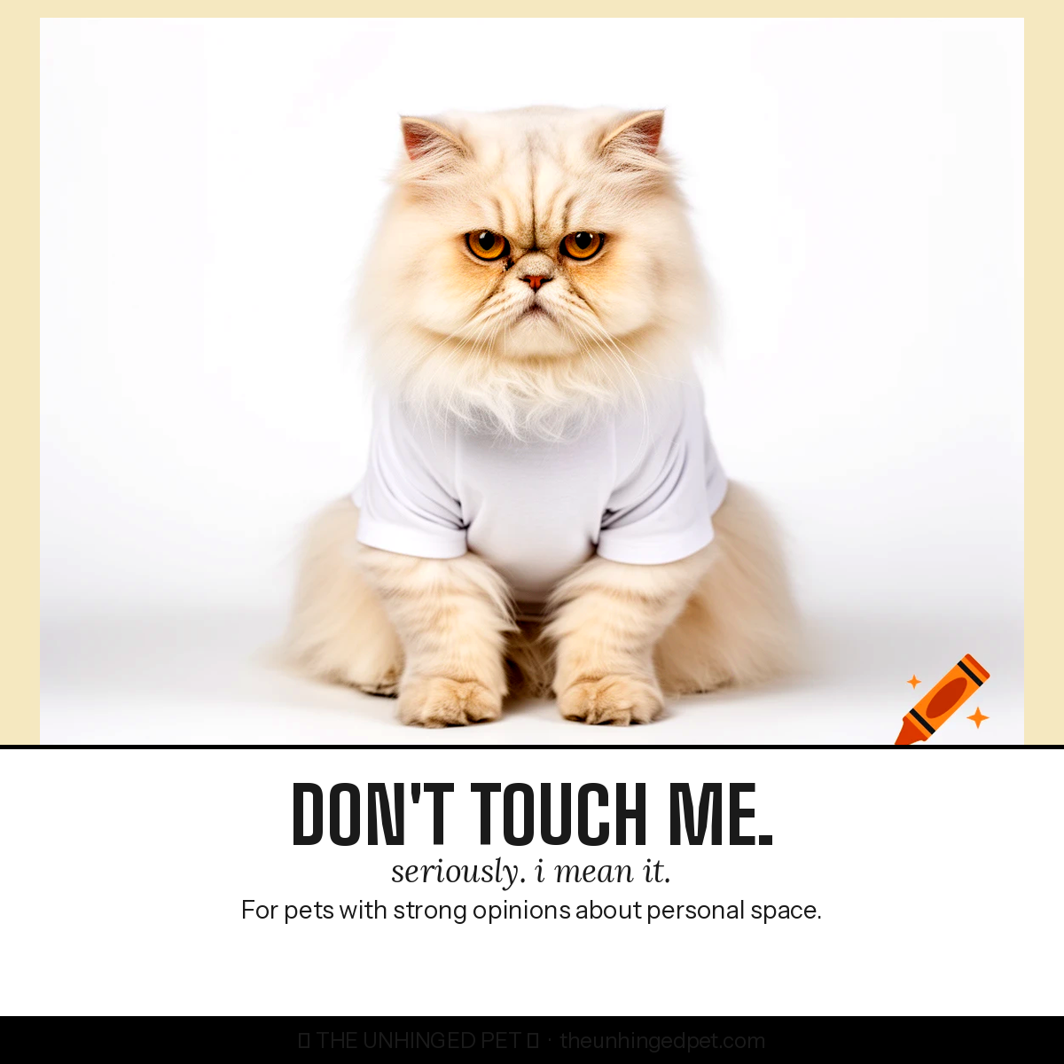 Grumpy Persian cat wearing Don't Touch Me tee