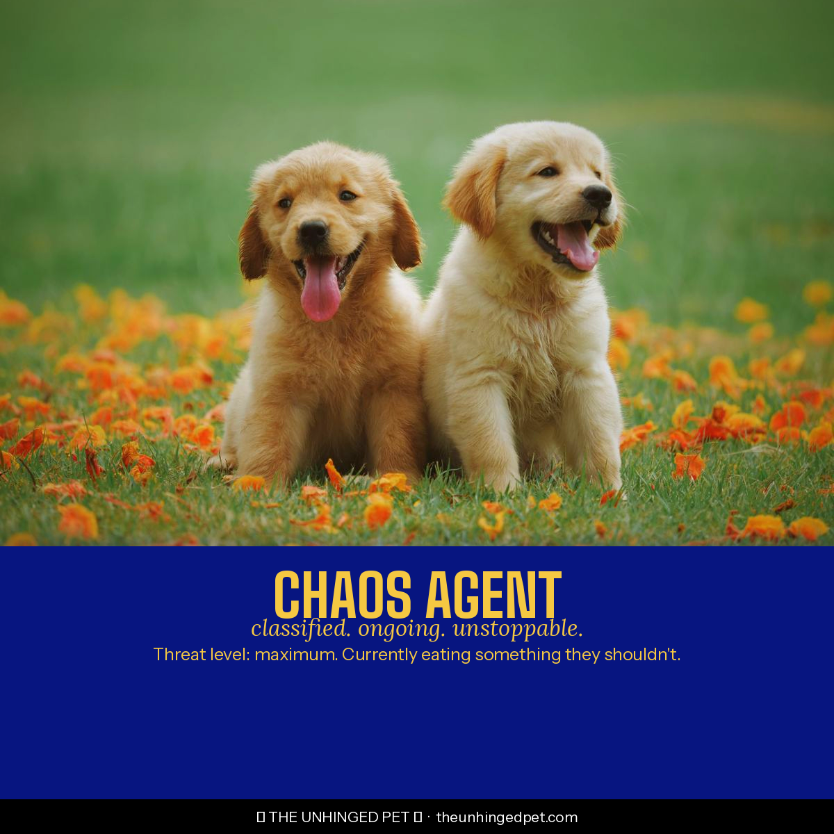 Dog Chaos Agent Tee