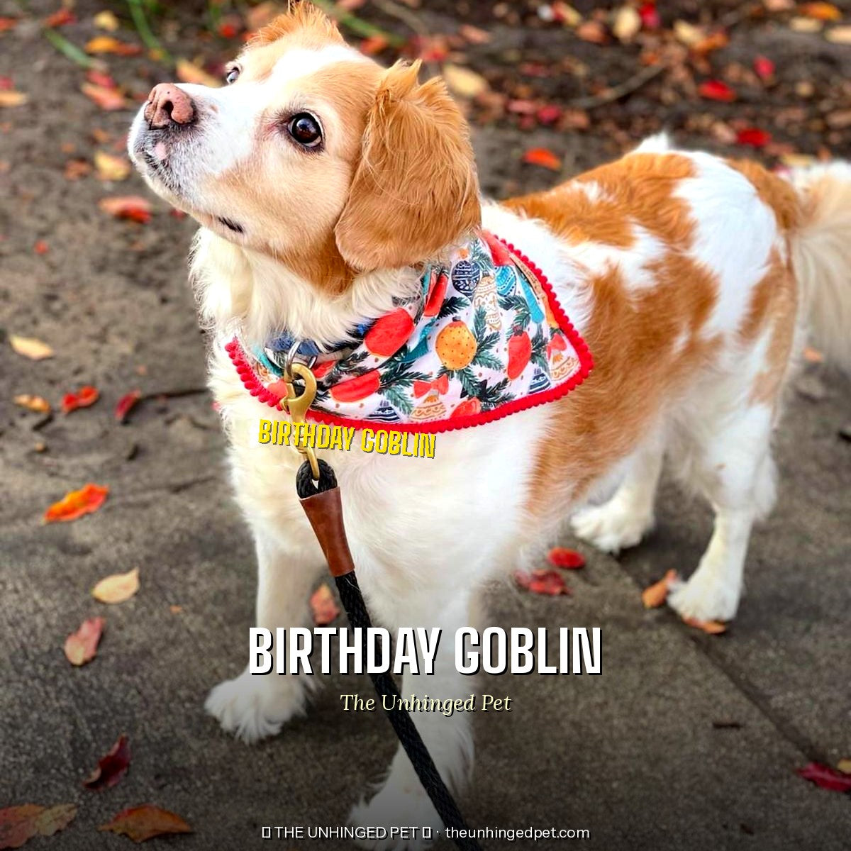 The Birthday Goblin Bandana