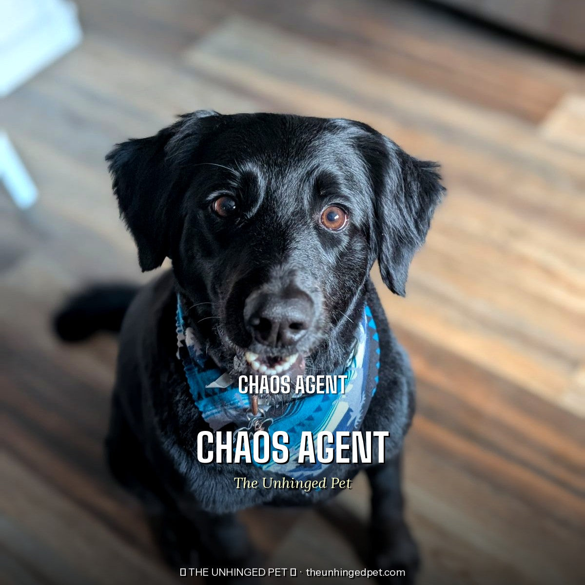 The Chaos Agent Bandana