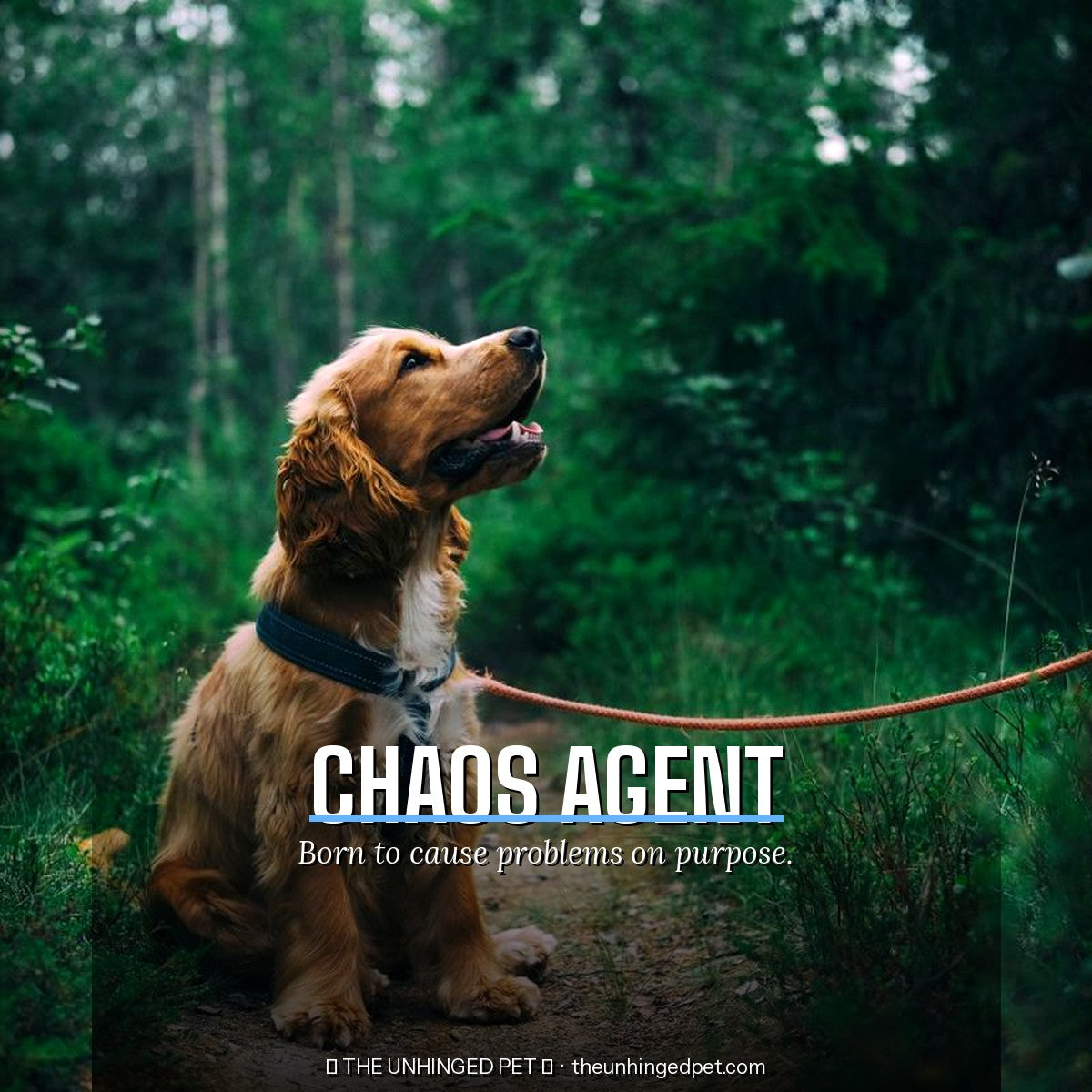 The Chaos Agent Tee