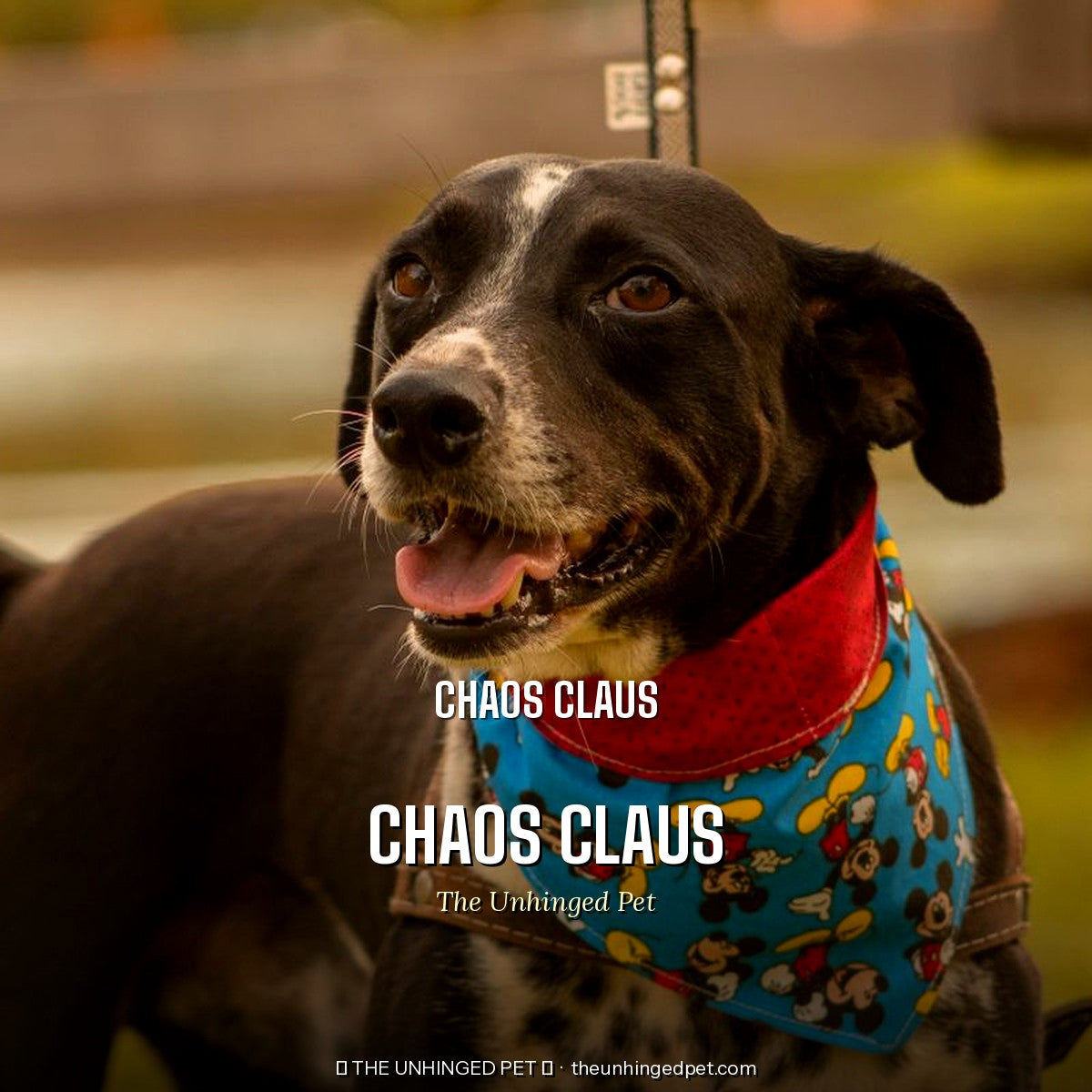 The Chaos Claus Bandana