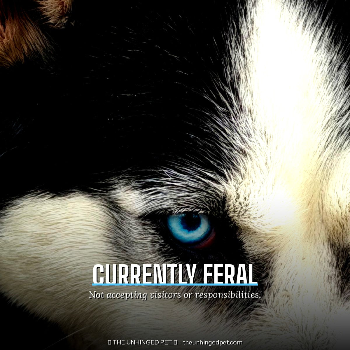 The Currently Feral Mug
