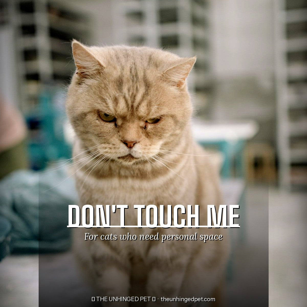The Don't Touch Me Tee