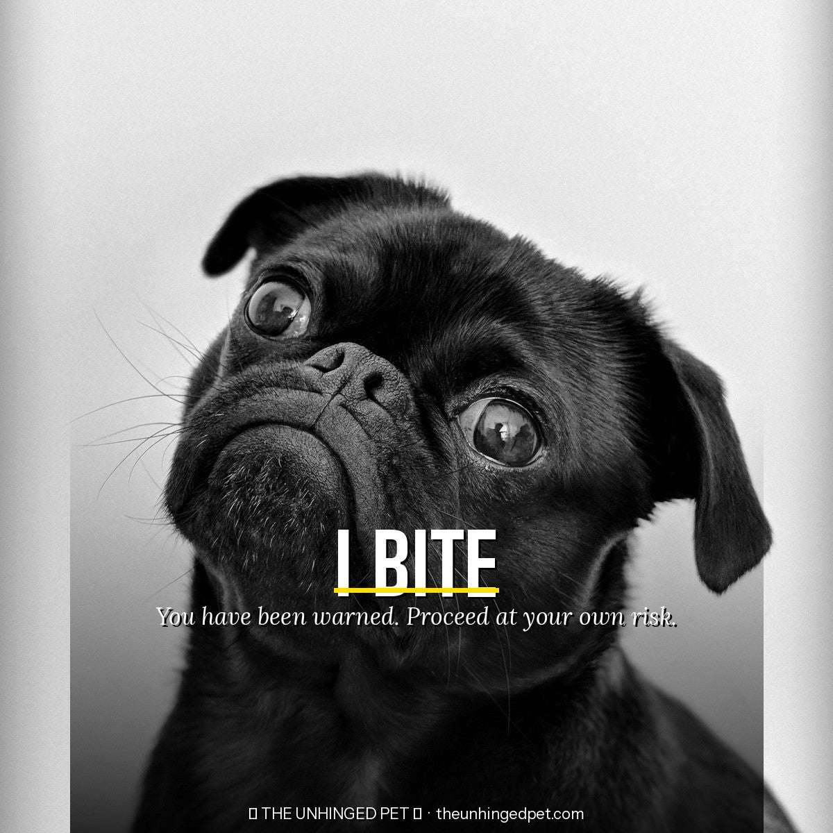 The I Bite Tee