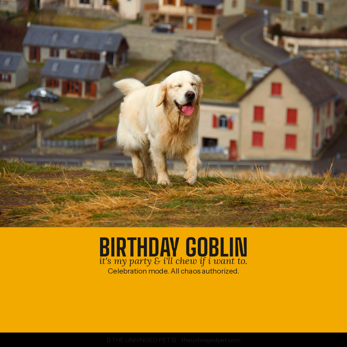 Golden retriever birthday goblin bandana
