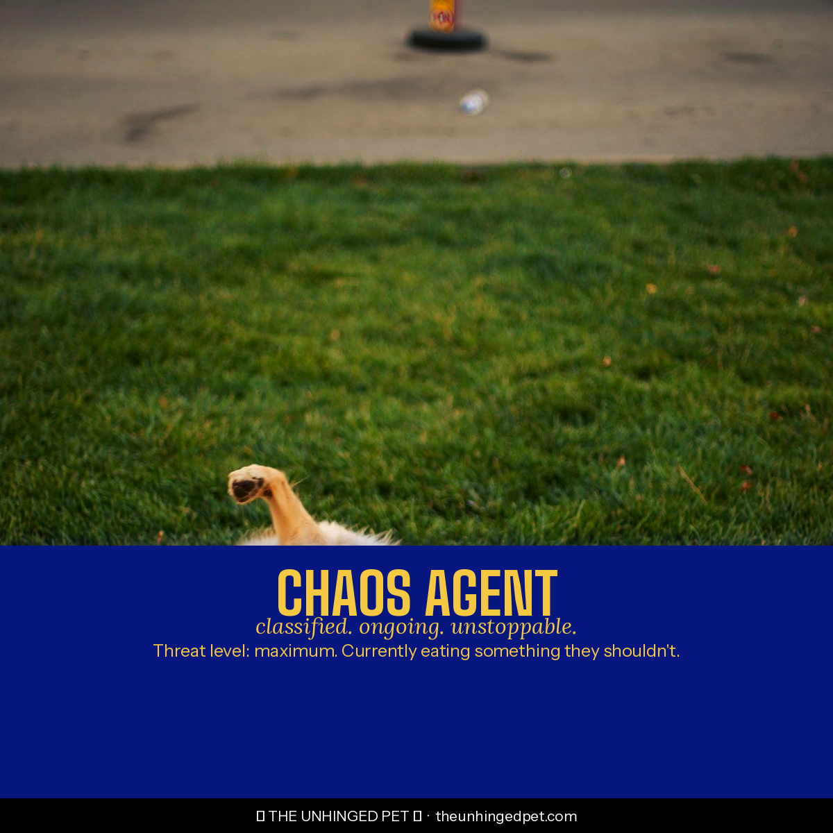 Dog chaos agent bandana