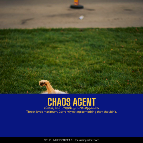 Dog chaos agent bandana