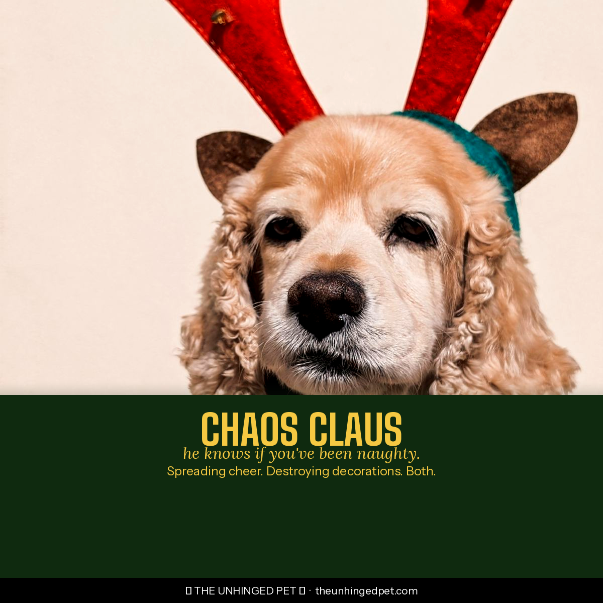 Dog chaos claus christmas bandana