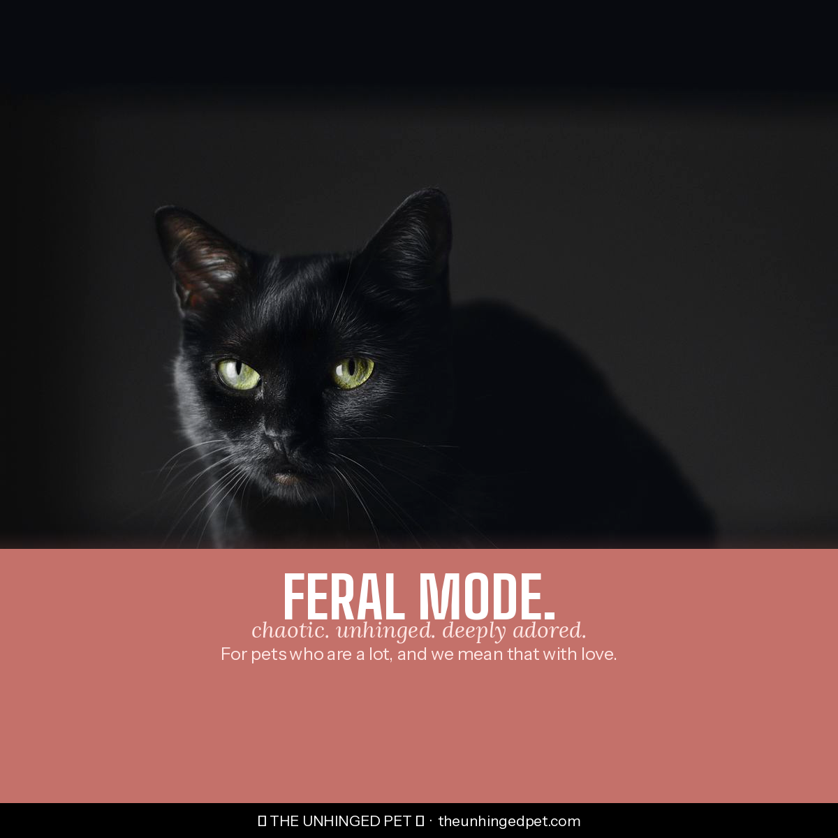 Black cat feral mode tee