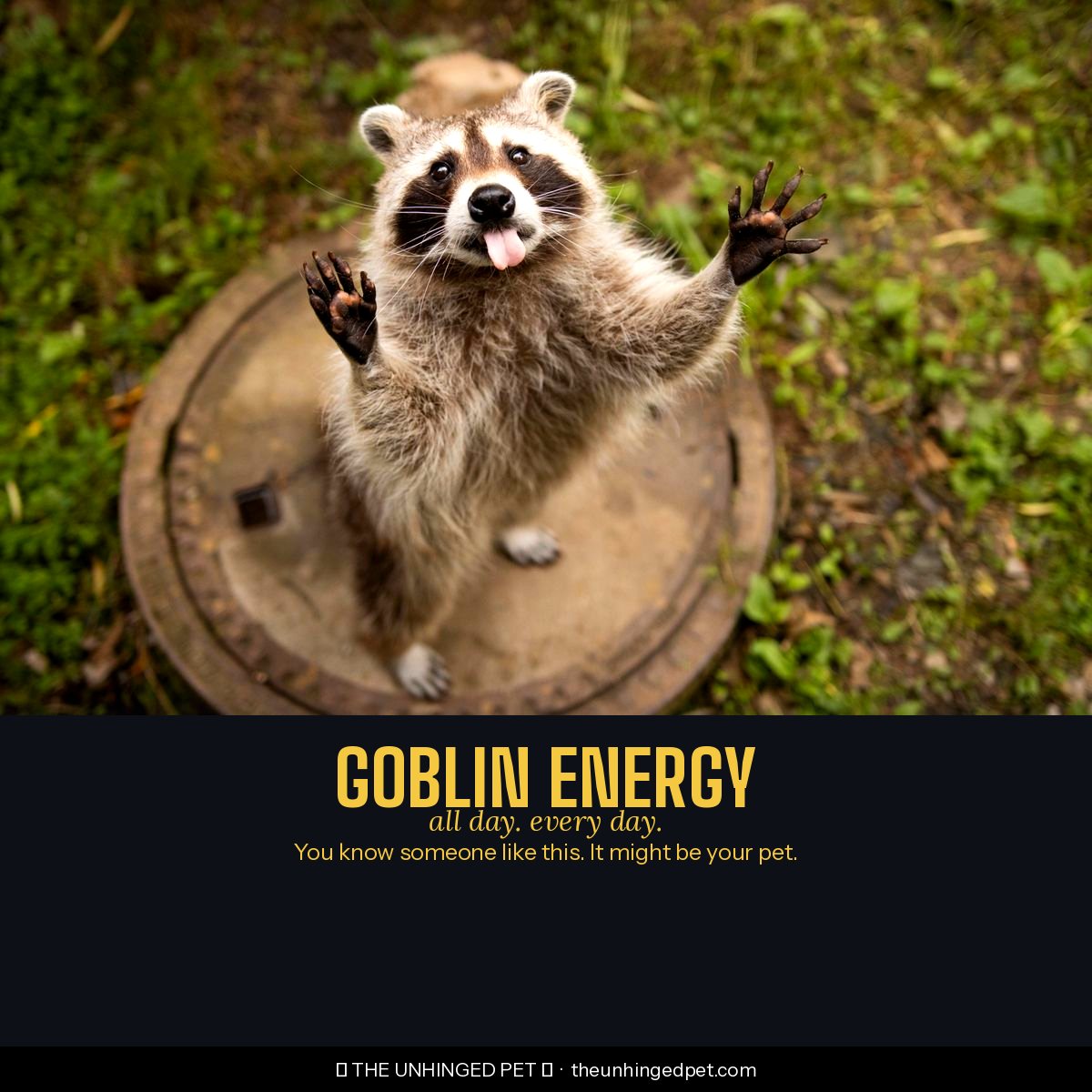 Raccoon goblin energy mug