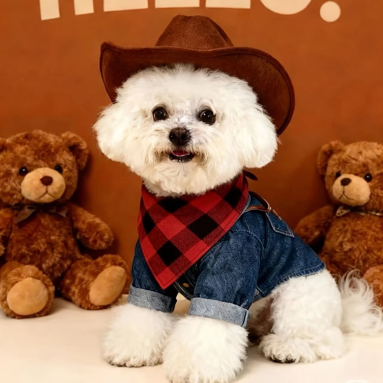 The Good Chaos Bandana