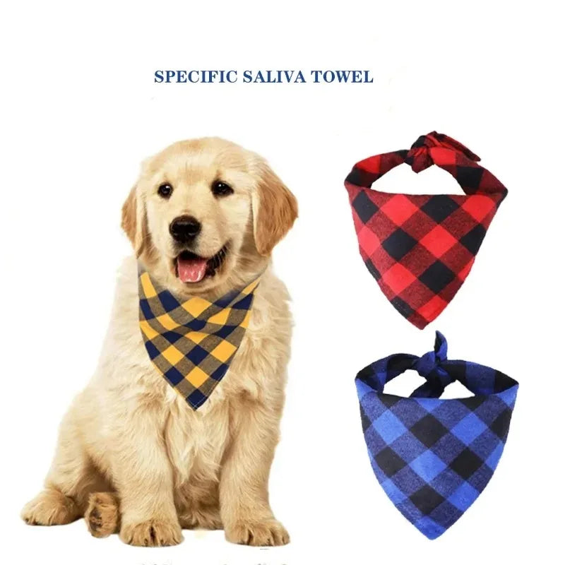 The Good Chaos Bandana