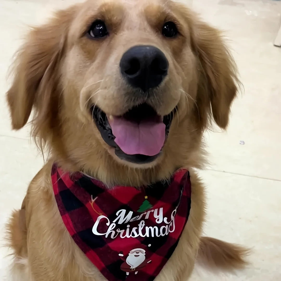 The Chaos Claus Bandana