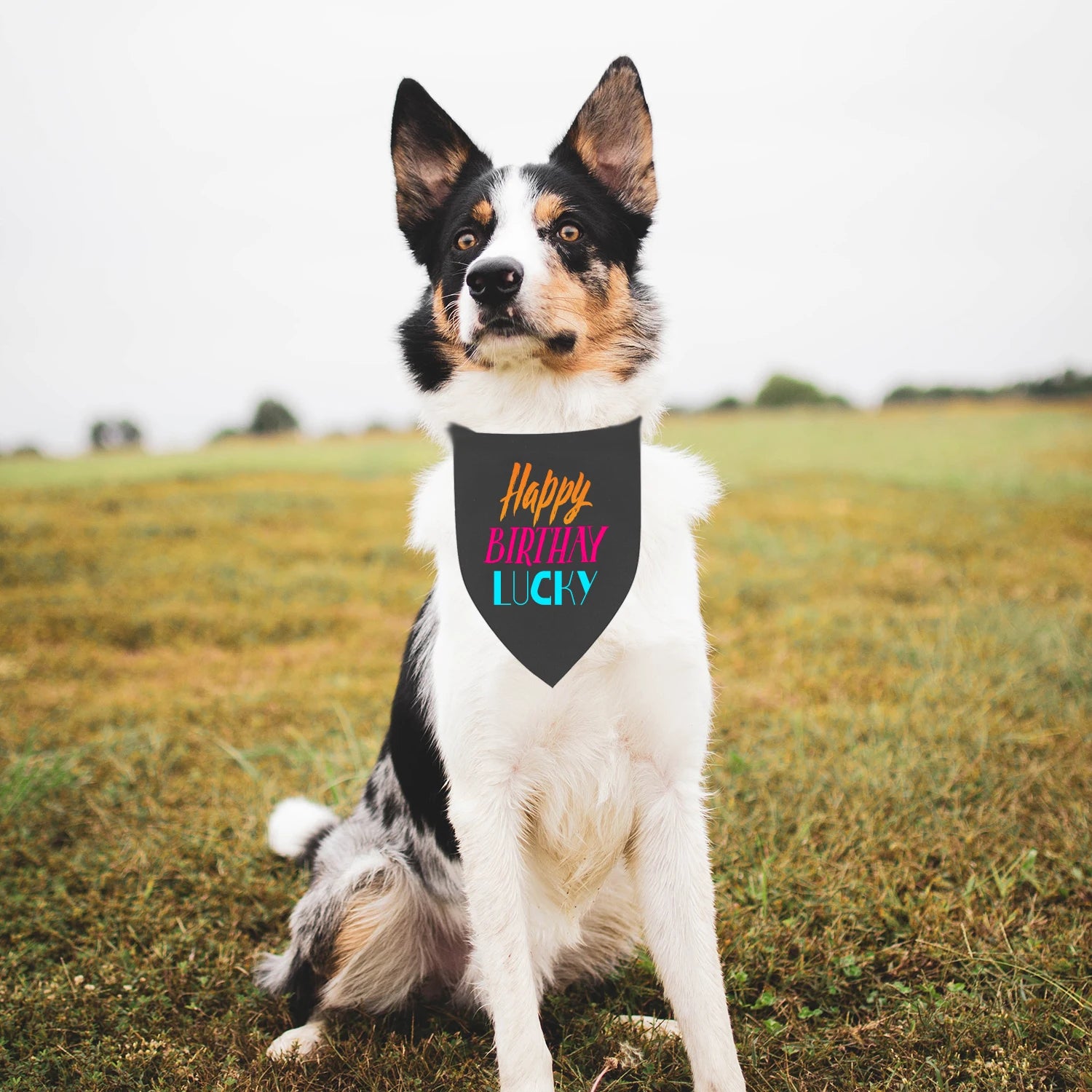 The 'That's My Goblin' Bandana