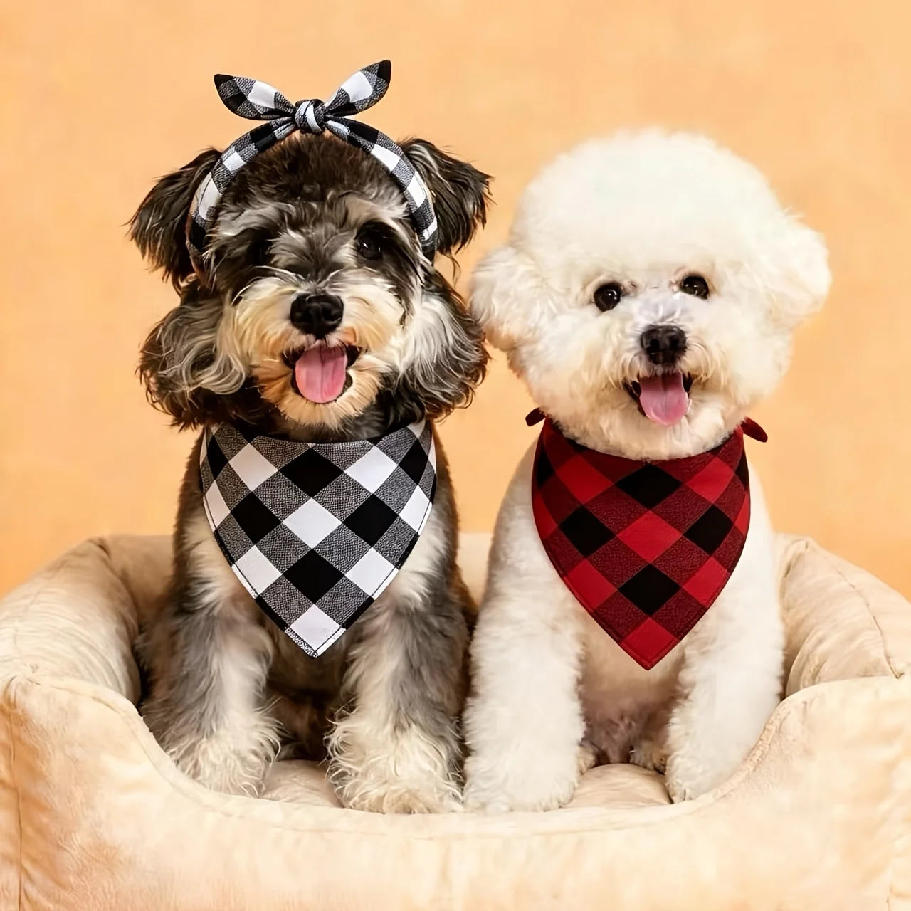 The Good Chaos Bandana